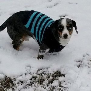 Meet your Posher, Melissa